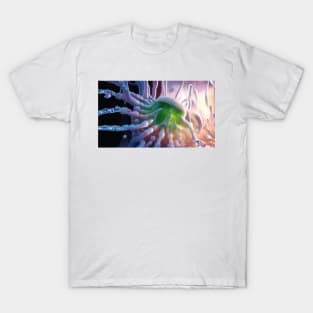 Quantum cellular crab T-Shirt